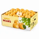 Pera Hosui Asian | C #28's | Singo Pears | China | C-CTN ±10Kg