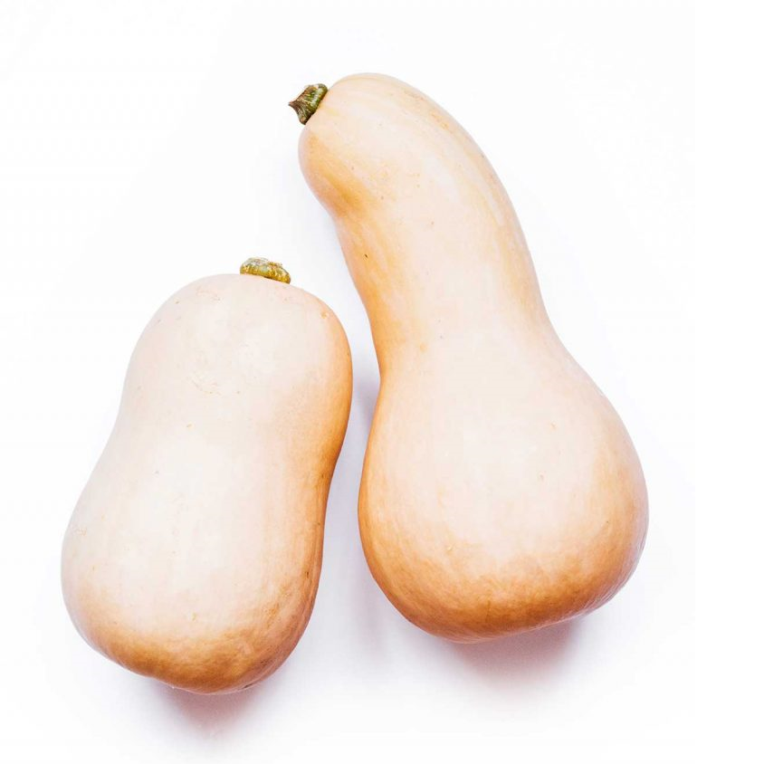 Calabaza Butternut | Squash | California | GRL