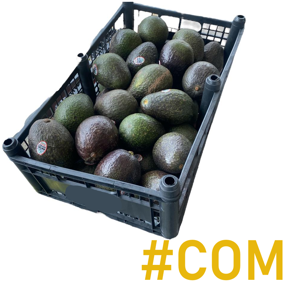 Hass Avocado | # COM | Michoacán | PLS-BX ±22.04lb                                                                                