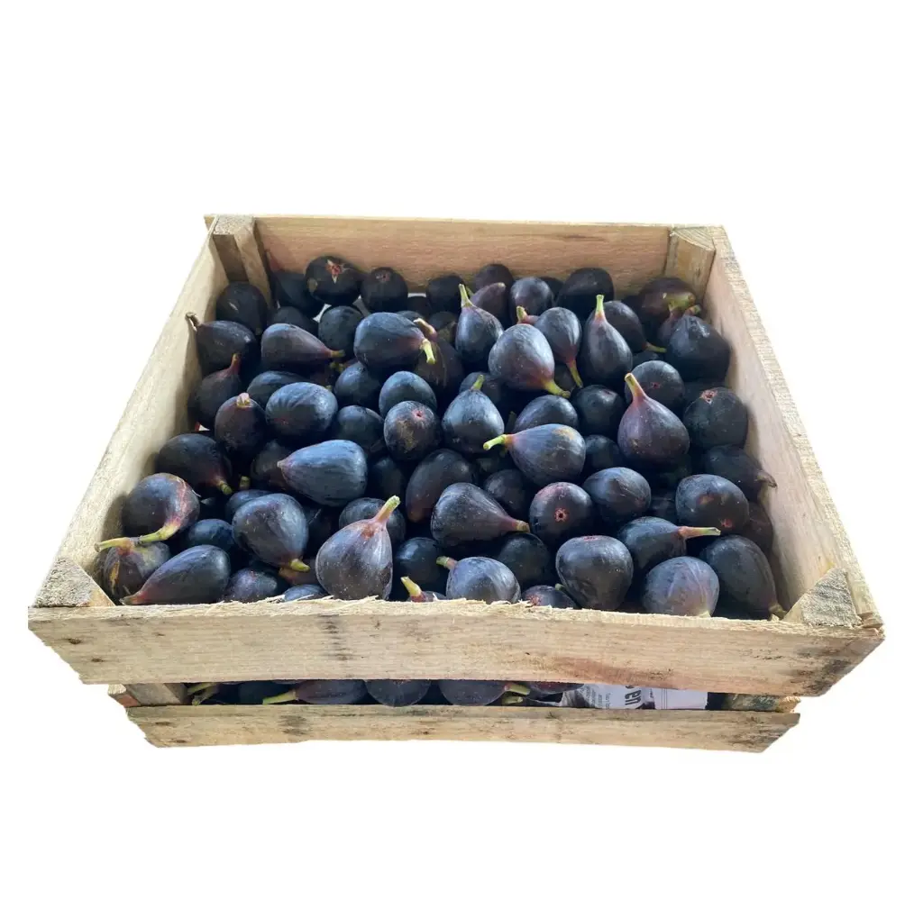 Higo Black Mission | #Jumbo | Coahuila | C-CTN ±9KG