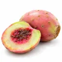 Pink Xoconostle  | Opuntia Joconostle | Est. Mex. | BLK