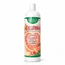 Organic Desinfectant | Killerbac® | 1LT