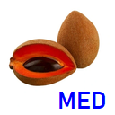 Mamey Zapota | #M | Chicomay® | Mérida | GRL                                                                                 