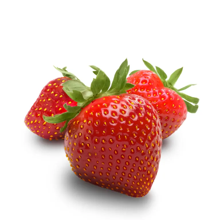 Strawberry Brillance | #CAT. 2 | Guanajuato| BLK                                                                                