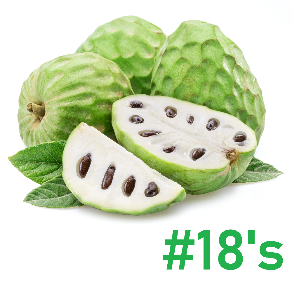 Chirimoya | #18 | Custard Apple | Annona Cherimola | Morelos | GRL
