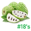 Cherimoya |#18's | Annona Cherimola | Morelos | BLK                                                                              