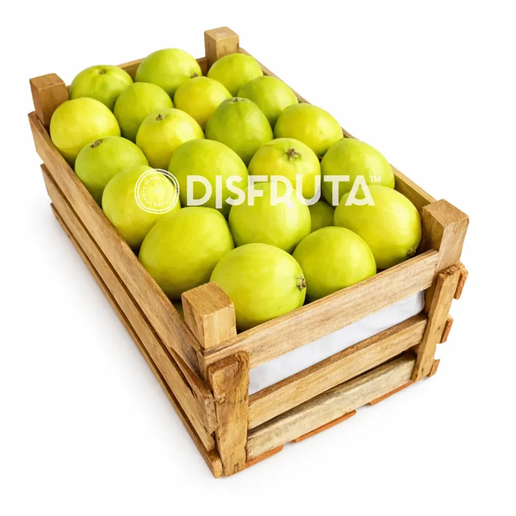 Guayaba Amarilla Criolla | # SX | Michoacán | C-MDR ±8.5Kg                                                                            