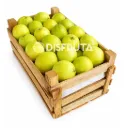 Guayaba Amarilla Criolla | # SX | Michoacán | C-MDR ±8.5Kg                                                                            