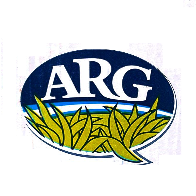 Ajo Morado Entero | CAT.1 #06 | Perú | C-CTN 10KG                                                          