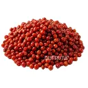 Chile Chiltepín Silvestre | DHD | Sonora | GRL                                                                           