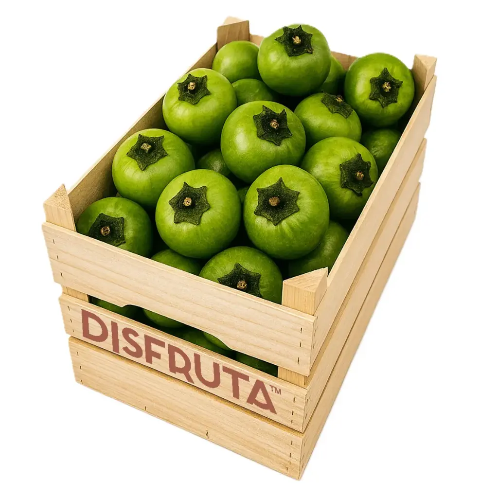 Sapote Negro | Diospyros nigra | Veracruz | C-MDR ±8.5Kg                                                                                