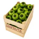 Sapote Negro | Diospyros nigra | Veracruz | C-MDR ±8.5Kg                                                                                