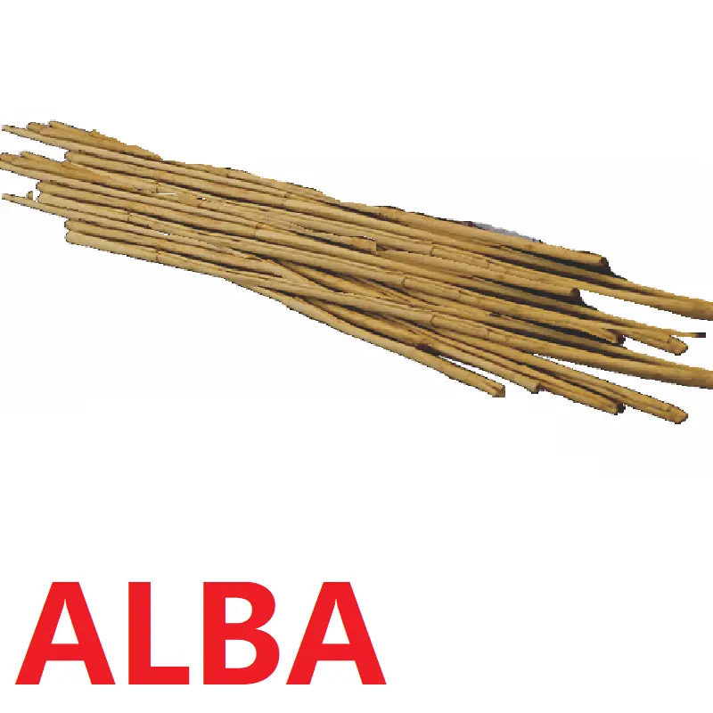 Canela Ceilan Alba | #21" | New Lanka® | Sri Lanka | GRL