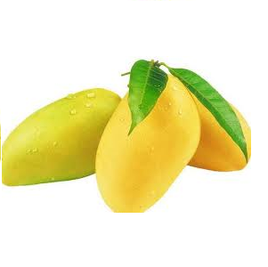 Mango de Manila | CAT 1 | Guerrero | GRL 