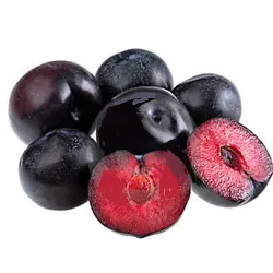 Cerezo Mexicano | (Capulín) (Ardisia compressa) | Puebla | GRL