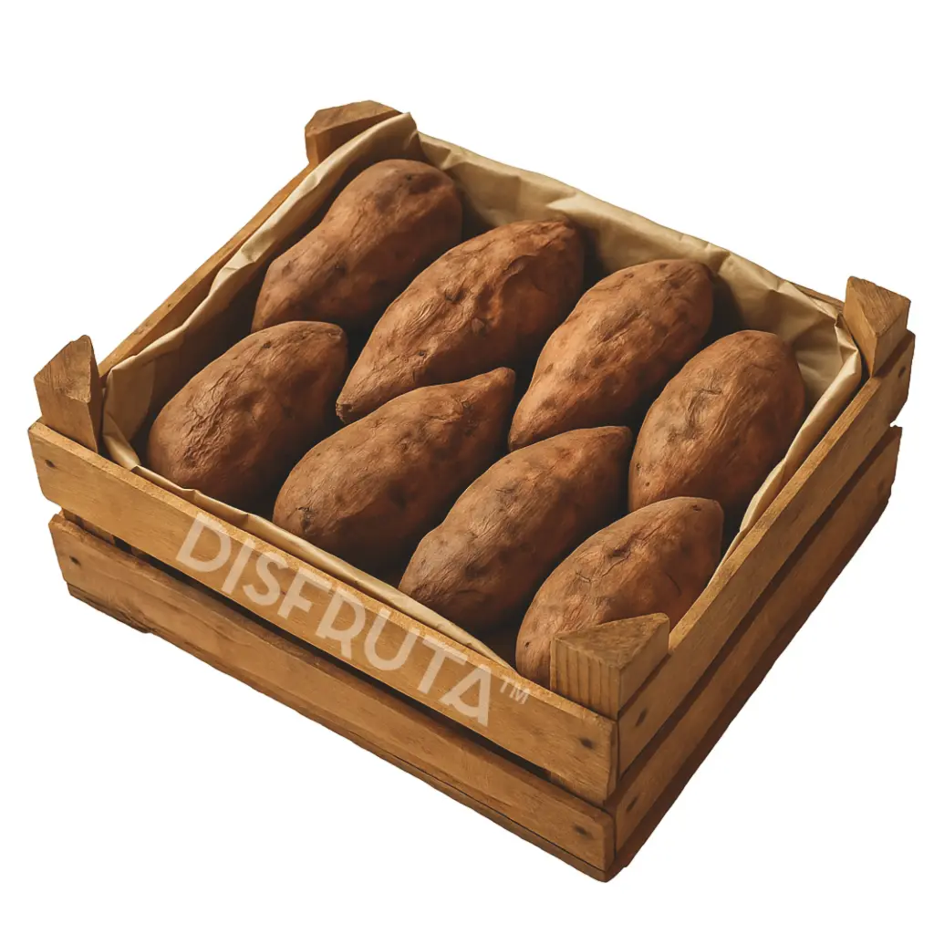 Camote Blanco Horneado | Guanajuato | C-MDR ±5KG