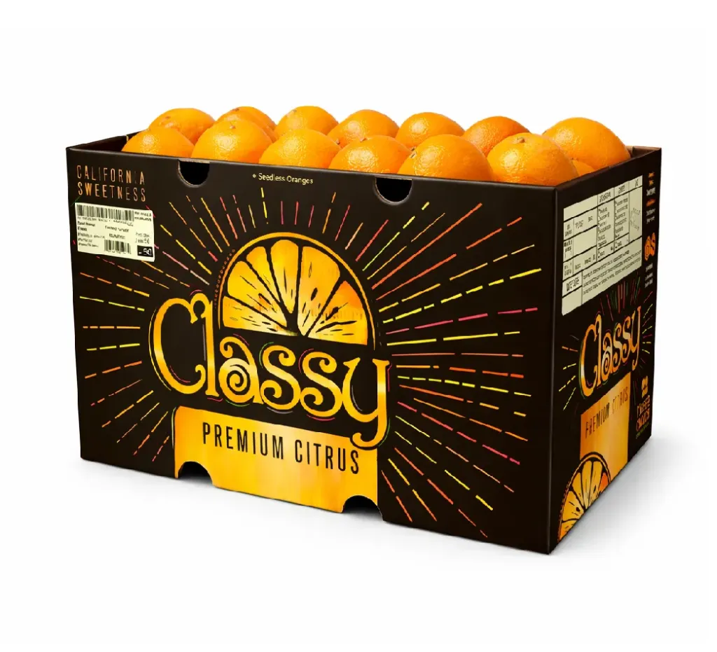 Navel Orange | Classy® | #48 | California | CTN-BX ±18Kg 