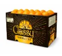 Naranja Navel | Classy® | #48 | California | C-CTN±16Kg