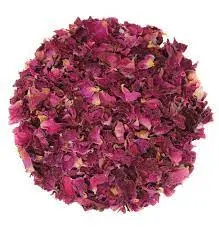 Rosa De Castilla | Pétalos | Edo. México | GRL