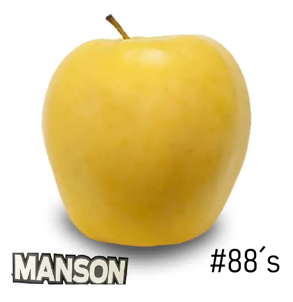 Manzana Golden Delicious | #88's | Manson® | Washington | GRL                                                                                 