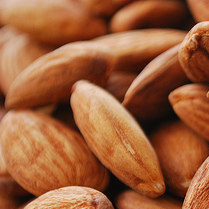 Almendra Nonpareil | EXTRA Cal. 23/25 | GEN | California | GRL                                                                                