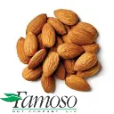 Almond  var. Nonpareil | CAT 1 Cal. 23/25 |  Campos Brother's® | California | GRL
