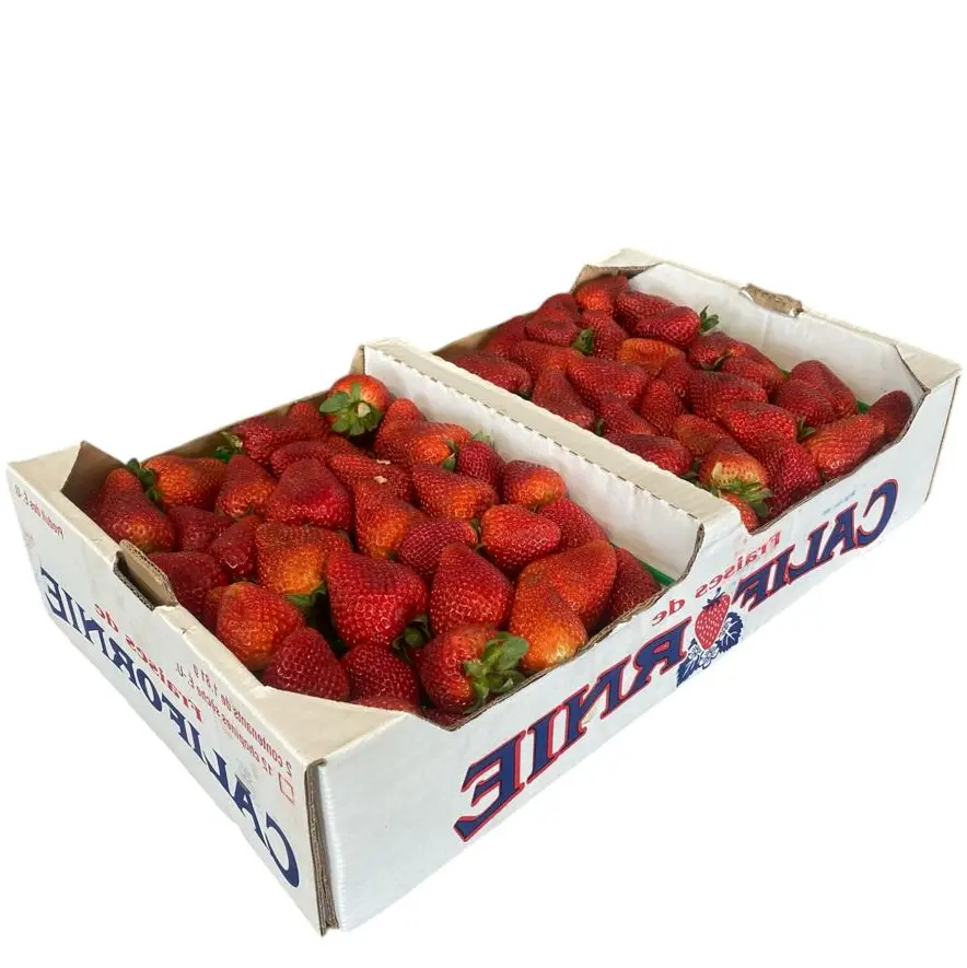 Fresa Camino Real | Californie® | Baja California | C-CTN ±7KG