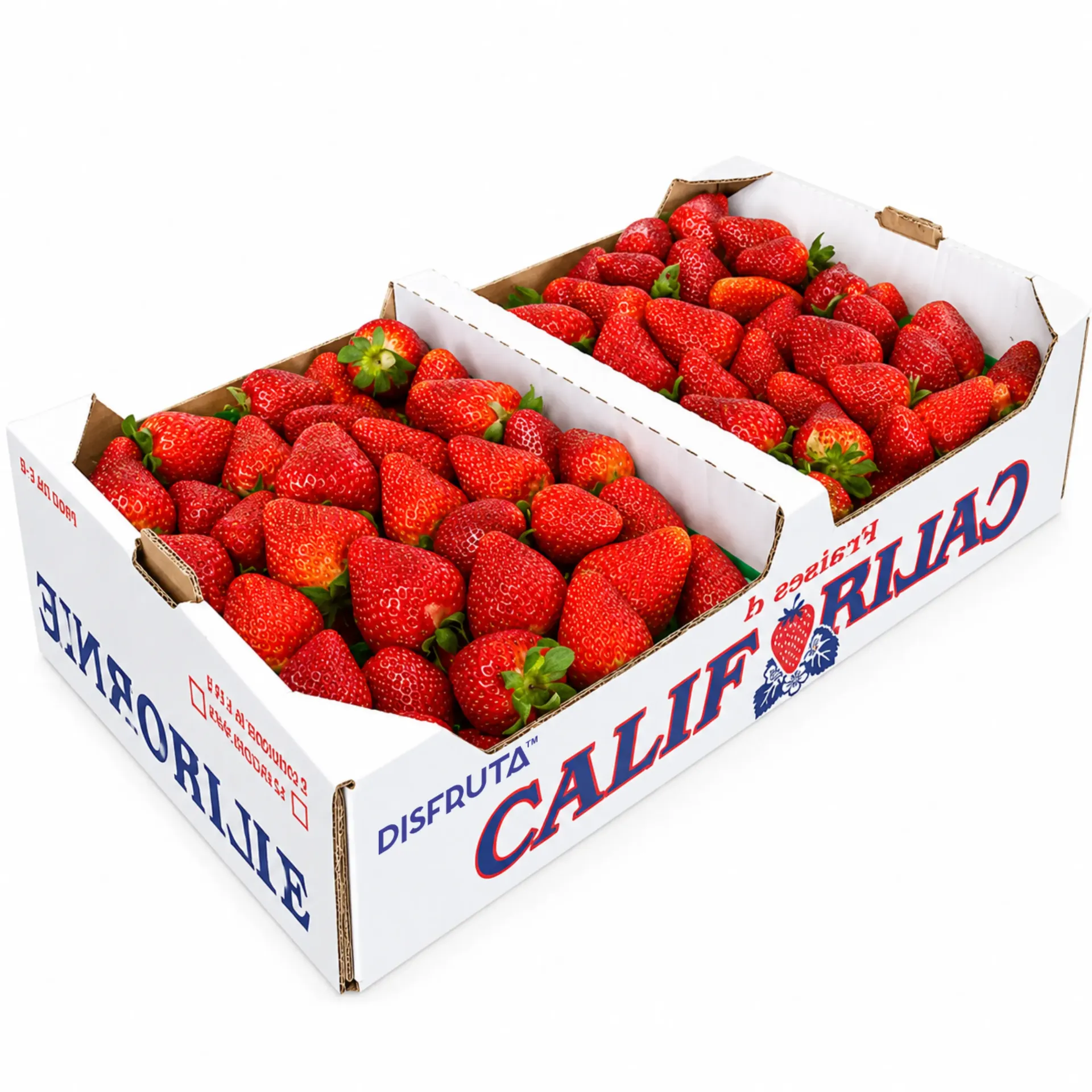 Fresa Albion™ | Californie® | Baja California | C-CTN ±5KG