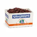 Uva Deshidratada Crimson | #Jumbo CAT.1 | Sahuaripa® | Sonora | C-CTN ±10KG                                                                          