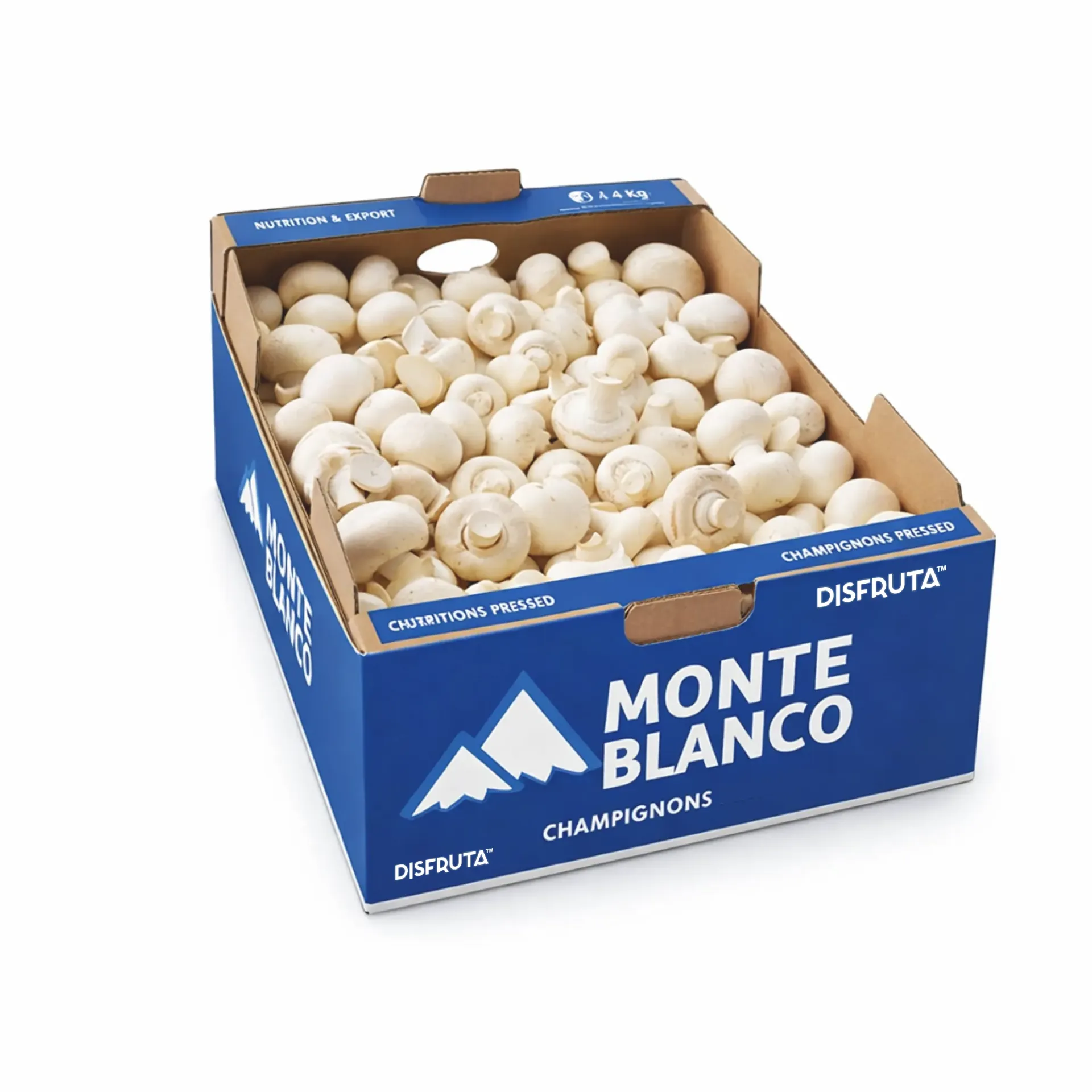 Hongo Champiñón Blanco (Agaricus bisporus) | Monteblanco® | Jalisco | C-CTN ±5KG