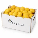 Limón Eureka | #95's | Arbolar® | Argentina | C-CTN ±17Kg                                                                                 
