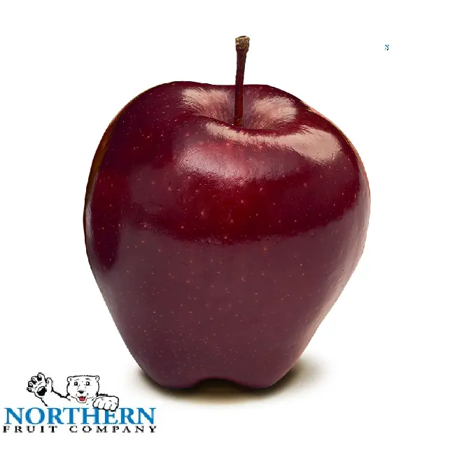 Red Delicious Apple | #125's | Nordic®  | Washington | BLK                                                                                 