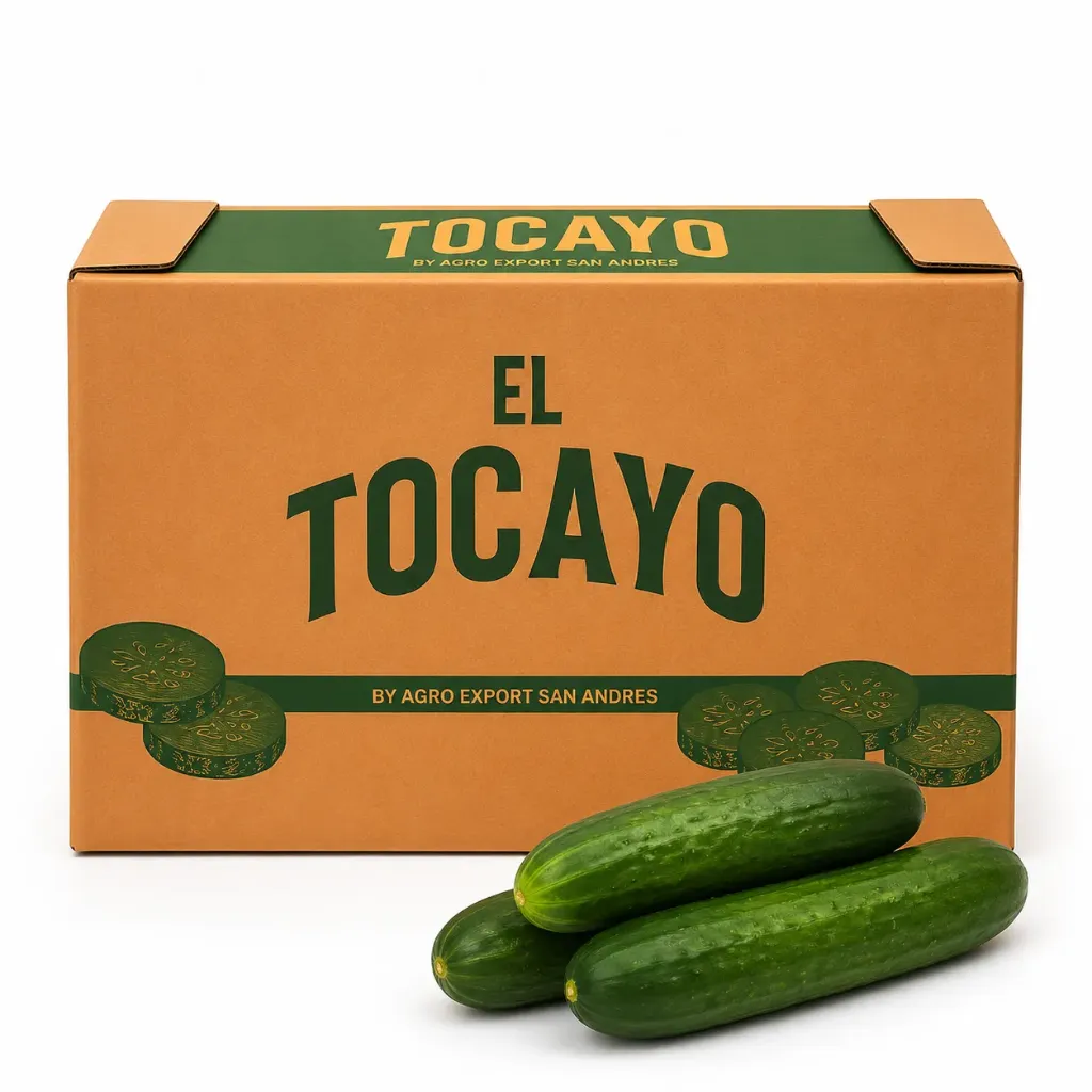 Pepino Americano | El Tocayo® | Sinaloa |  C-CTN ±24Kg                                                                           