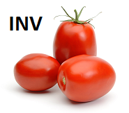 Tomate Saladet | Potosinos® | S.L.P. | GRL                                                               