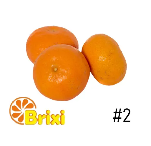 Mandarina Tango | #2 | Brixi® | Perú | GRL