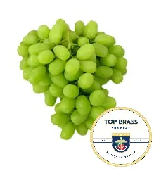 Uva Ivory | SH-21 | Top Brass® | California | GRL   