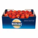 Durazno Gattie®| C#42 | Moonlight®| California | C-CTN ±11.34KG  
