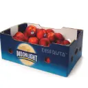 Durazno Gattie®| C#42 | Moonlight®| California | C-CTN ±11.34KG  