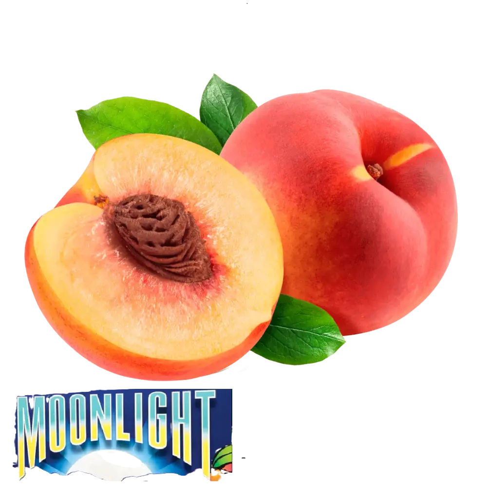 Durazno Melocotón Yellow Flesh | #42 | Moonlight®| California | GRL