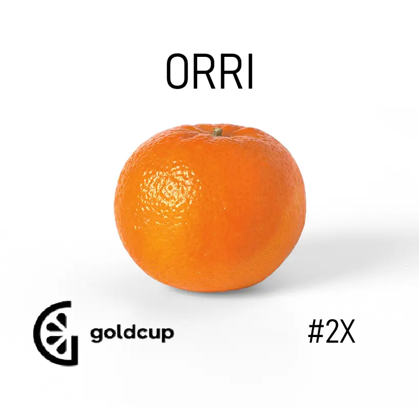 Mandarina Orri | #2X | Gold Cup® | Perú | GNL    