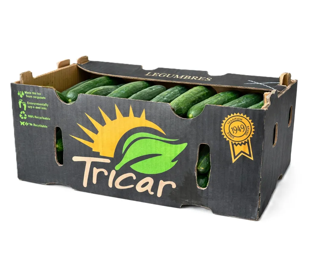 Pepino Americano | Tricar® | Sinaloa | C-CTN ±24Kg                                                                             