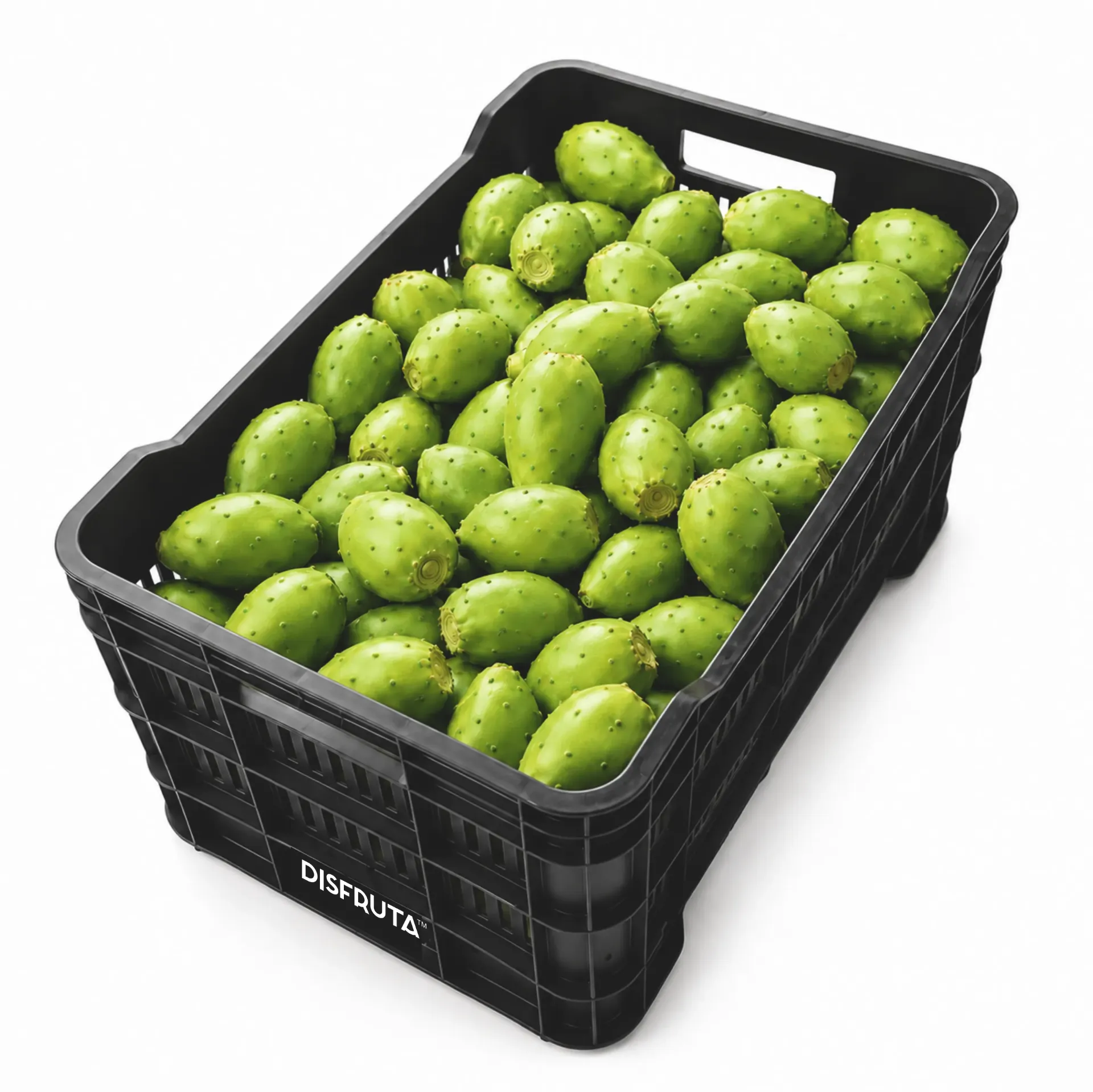 Green Cactus Pear “Cristalina” | State of Mexico | BX-PLS ±18Kg