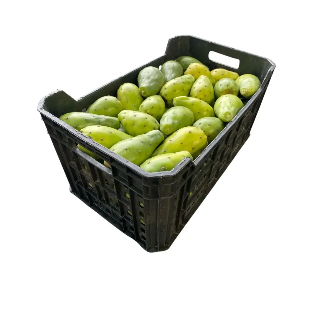 Green Cactus Pear “Cristalina” | State of Mexico | BX-PLS ±18Kg