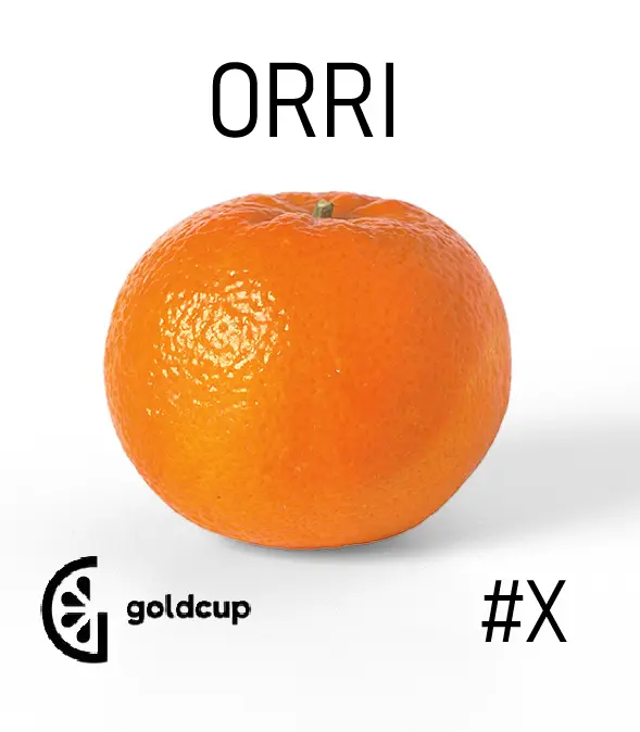 Mandarina Orri | #X | Gold Cup® | Perú | GRL     