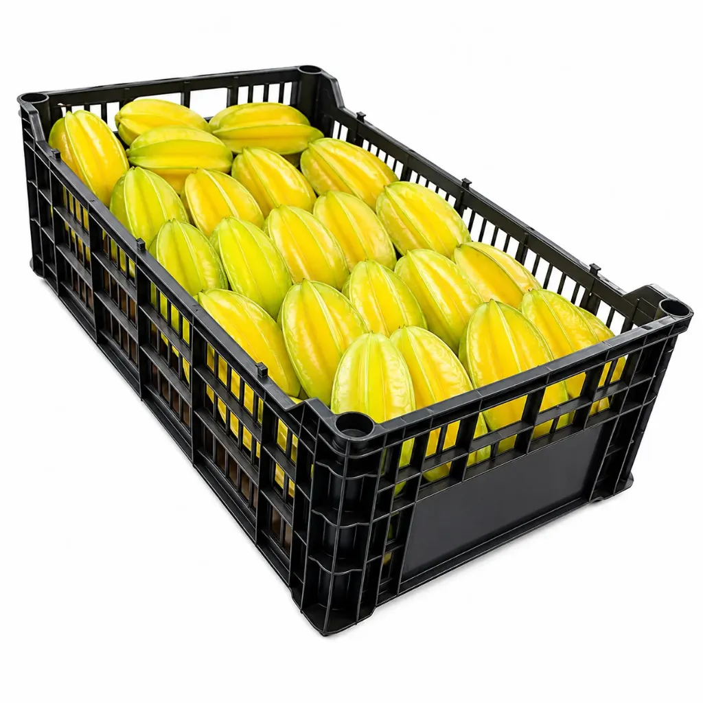 Starfruit | Morelos | C-PLS ±7KG 