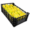 Carambolo | Star Fruit | Morelos | C-PLS ±5KG