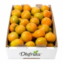 Pérsimo Fuyu | #EXT | Aguascalientes | C-CTN ±11kg