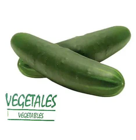 Pepino Americano | P.Inv. | Vegetables® | Sinaloa | GRL                                                                                  