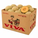 Melón Cantalupo | #9 | VIVA® | Sonora | C-CTN ±20Kg