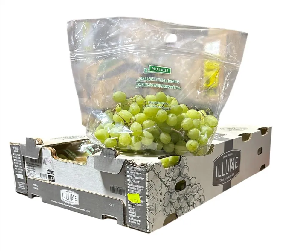 Uva Sweet Globe™ | IFG TEN | ILLUME® | California | C-CTN ±8.6kg                                                                